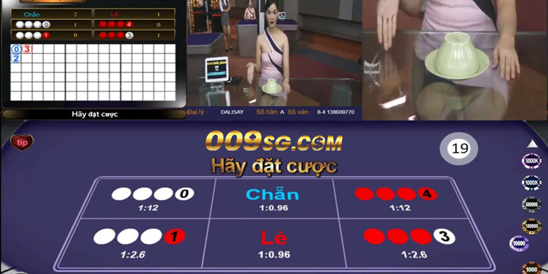 Casino 009 đang cung cấp game Xóc Đĩa dễ chơi, dễ thắng